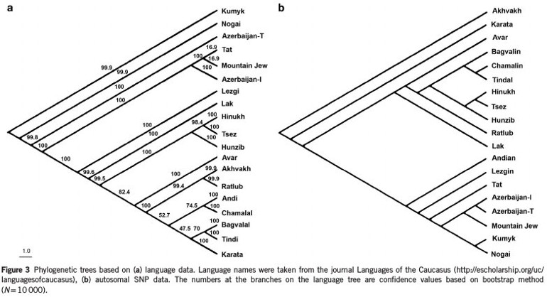 2015_Karafet_Figure3.jpg
