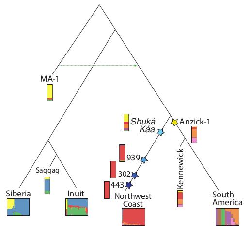 2016_Lindo_Figure5.jpg