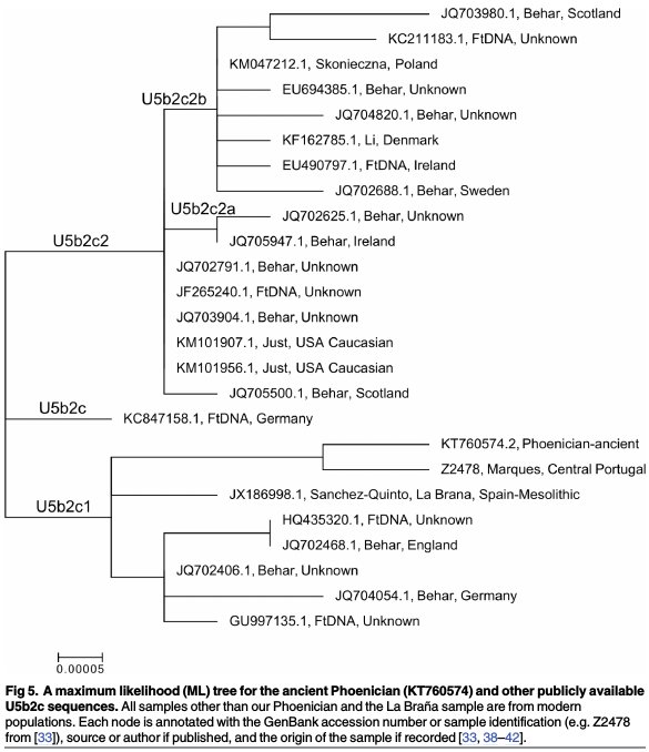 2016_MatisooSmith_Figure5.jpg