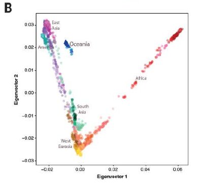 2016_Vernot_Figure1B.jpg