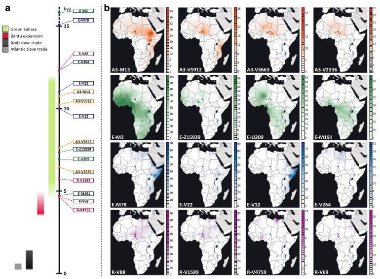 2018_DAtanasio_Figure3.jpg