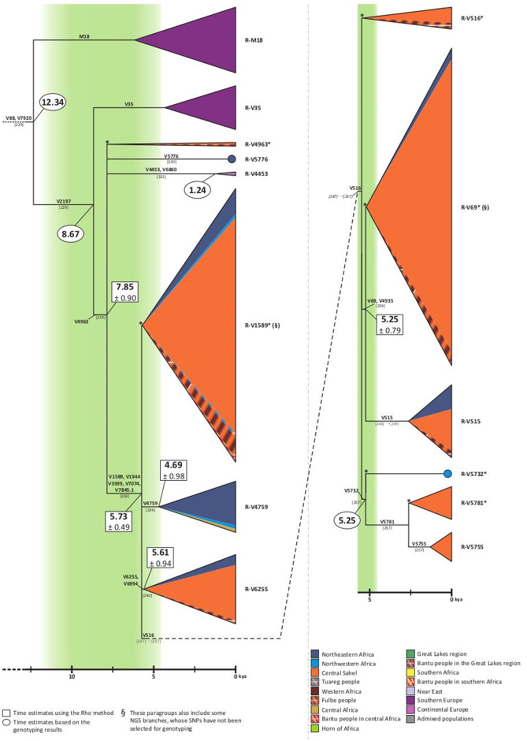 2018_DAtanasio_FigureS6.jpg