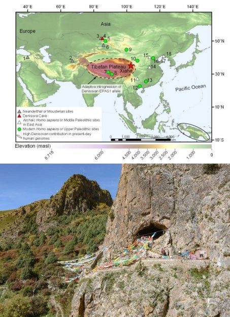2019_Denisova_Tibet_Figure3.jpg
