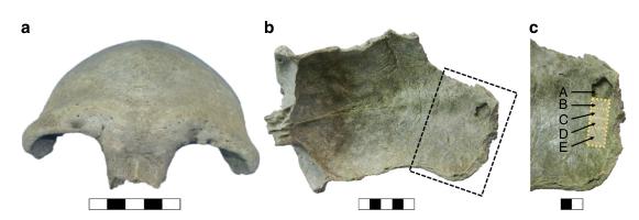 2019_Deviese_Figure2.jpg