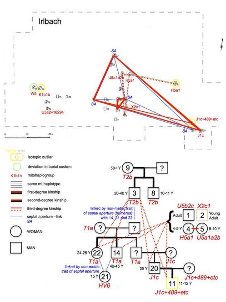 2019_Sjogren_Figure7.jpg, déc. 2019