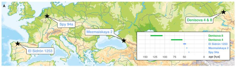 2020_Petr_Figure1A.jpg, mar. 2020