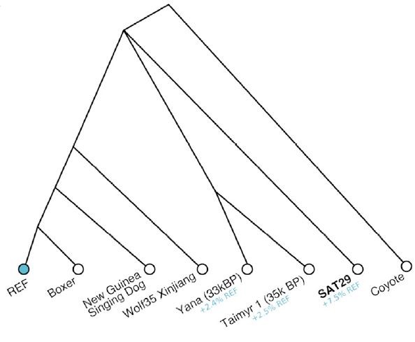 2021_Gelabert_Figure4B.jpg, juil. 2021