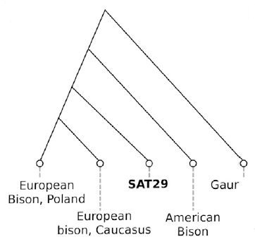2021_Gelabert_Figure5B.jpg, juil. 2021