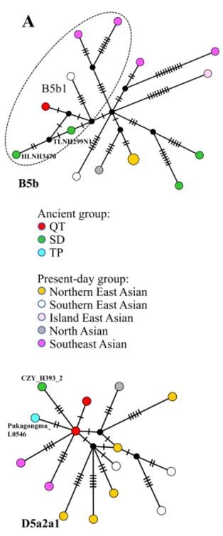 2021_Miao_FigureS1A.JPG, juin 2021