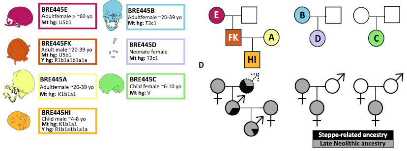 2024_Parasayan_Figure1B.png, juin 2024