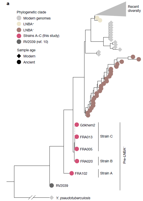 2024_Valeur-Figure4a.png, août 2024
