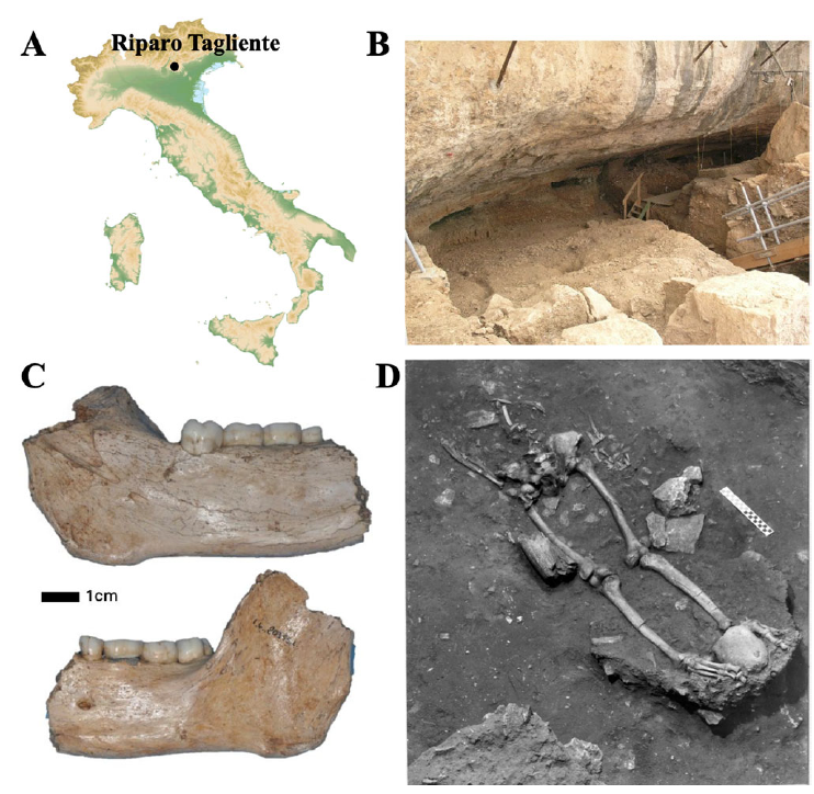 2024_Yavuz_Figure1.png, nov. 2024