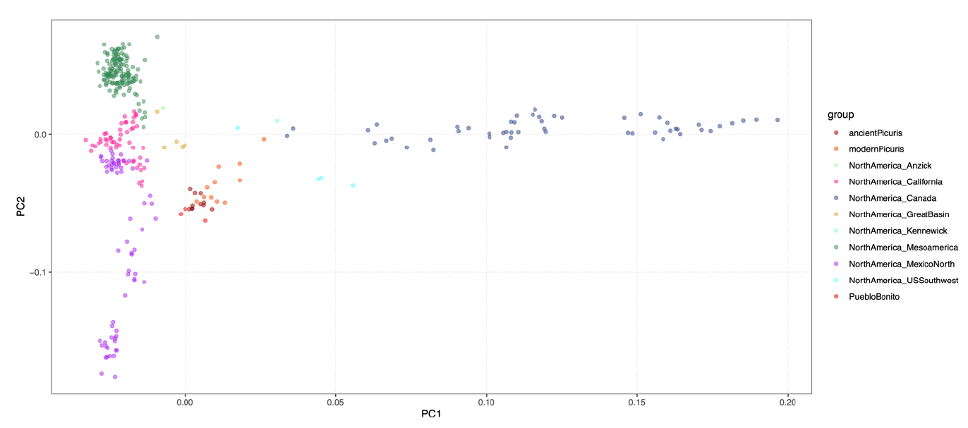 2025_Pinotti_FigureS12.png, mai 2025