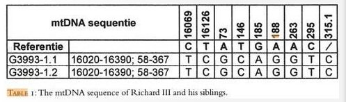 mtDNA Richard III